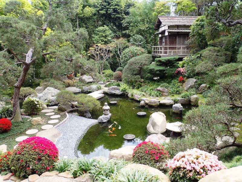 Jardin ambiance japonaise